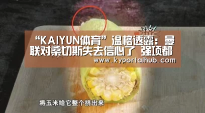 开云体育官网